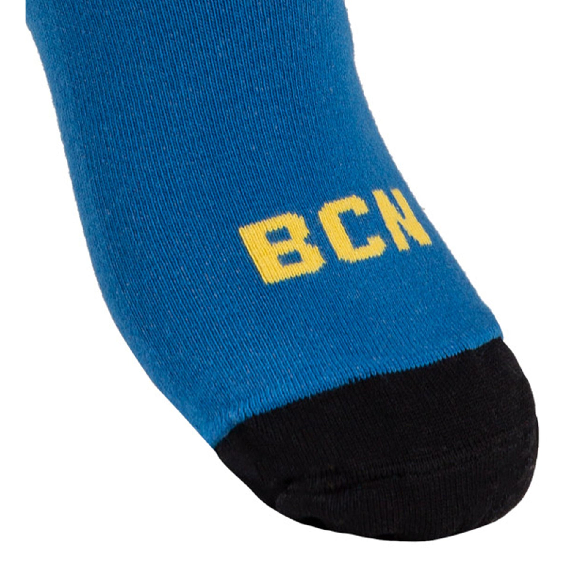 Summer Trip Socks (2)