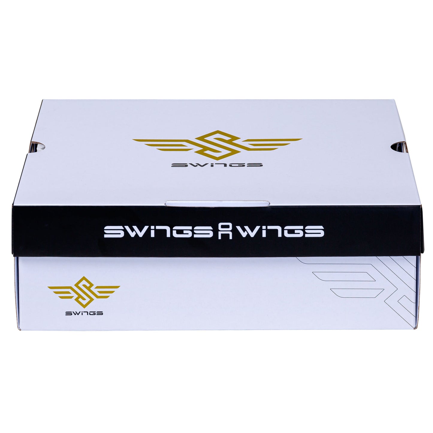 Swings Mk I (6)