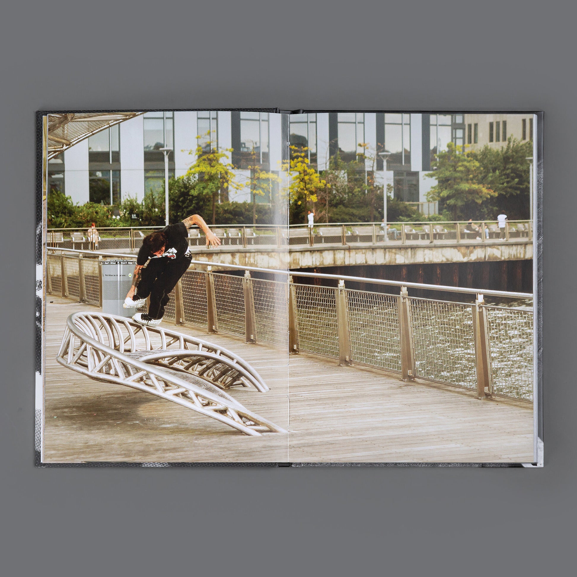Mesmer Book NY (1)