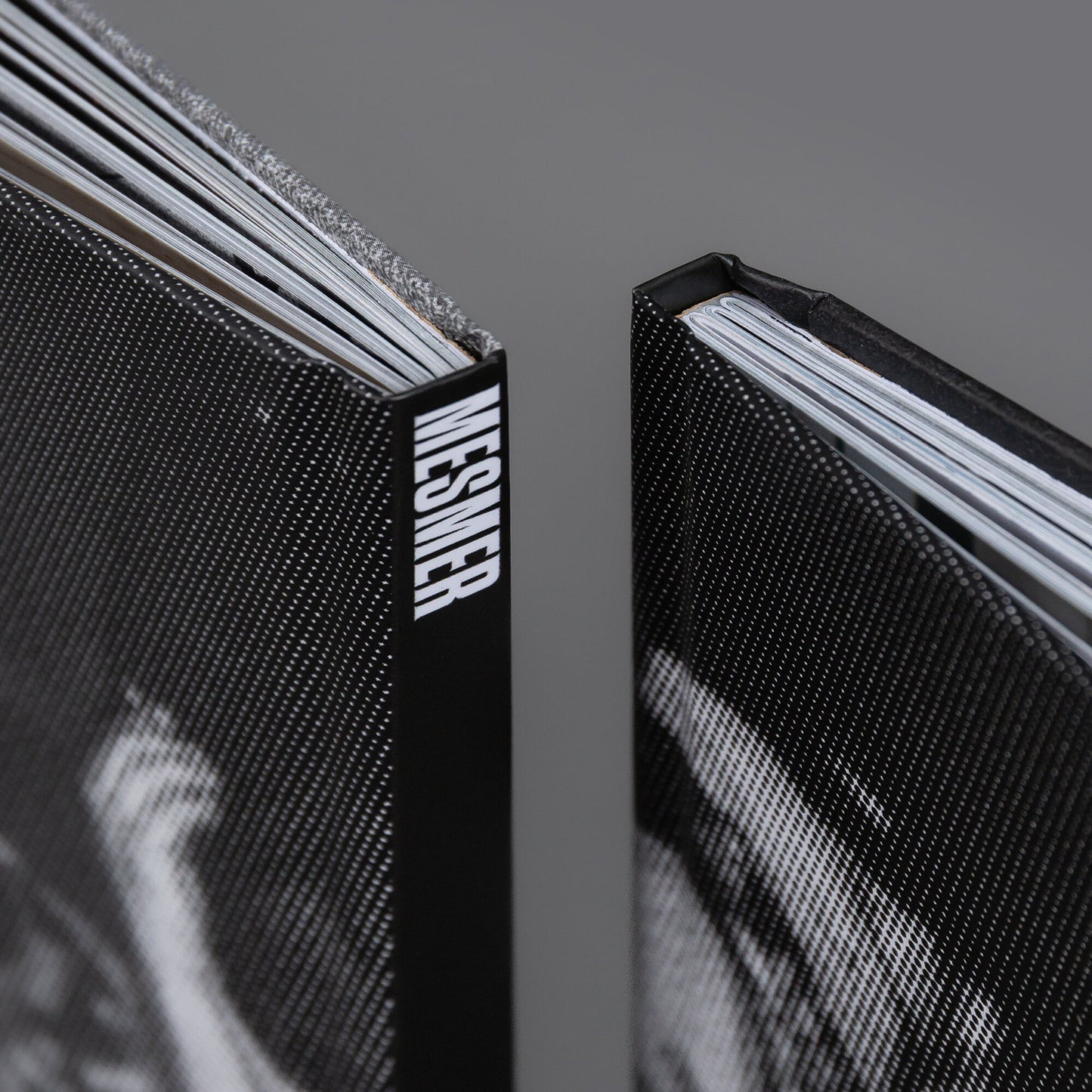 Mesmer Book NY (2)