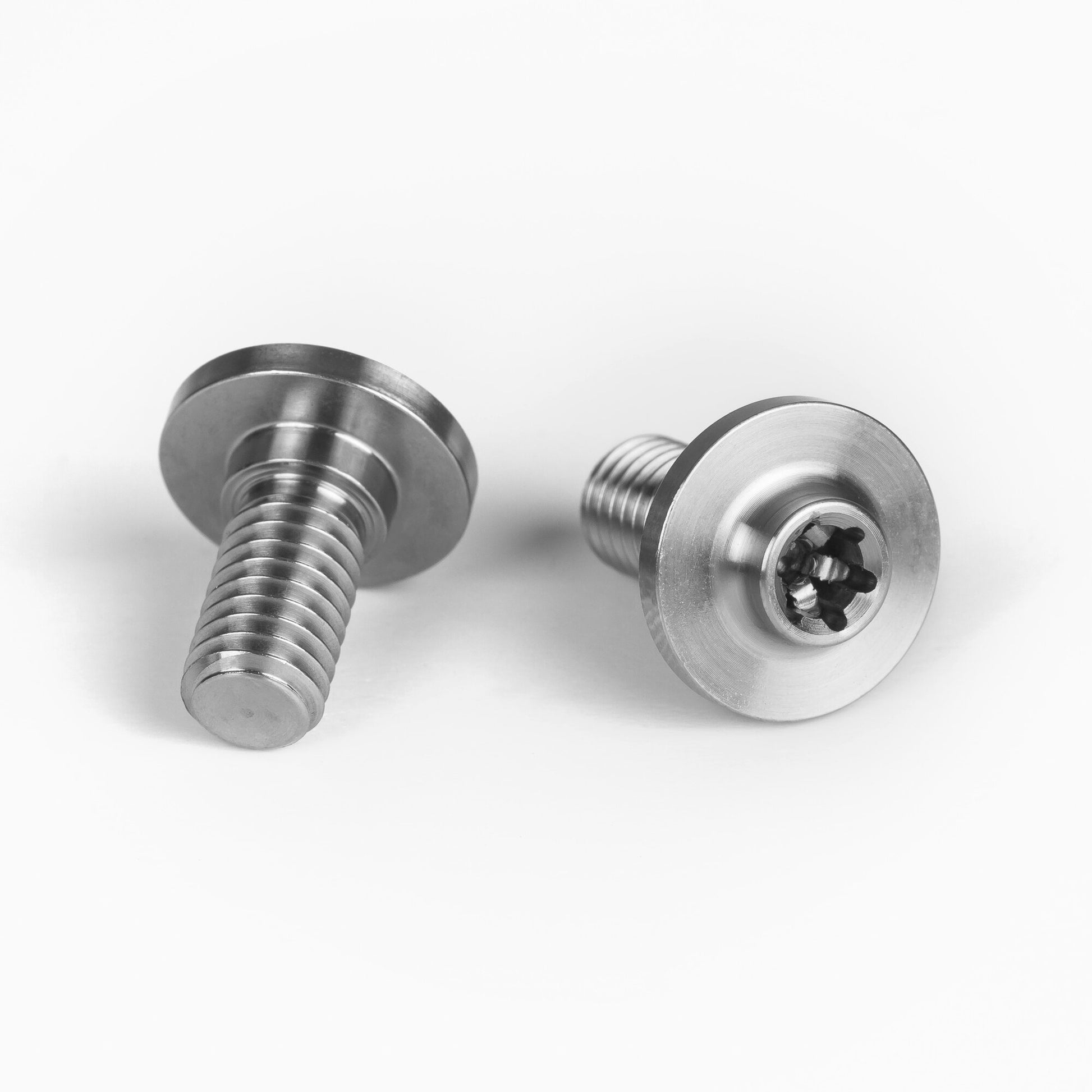 Ti Mounting Screws (2)