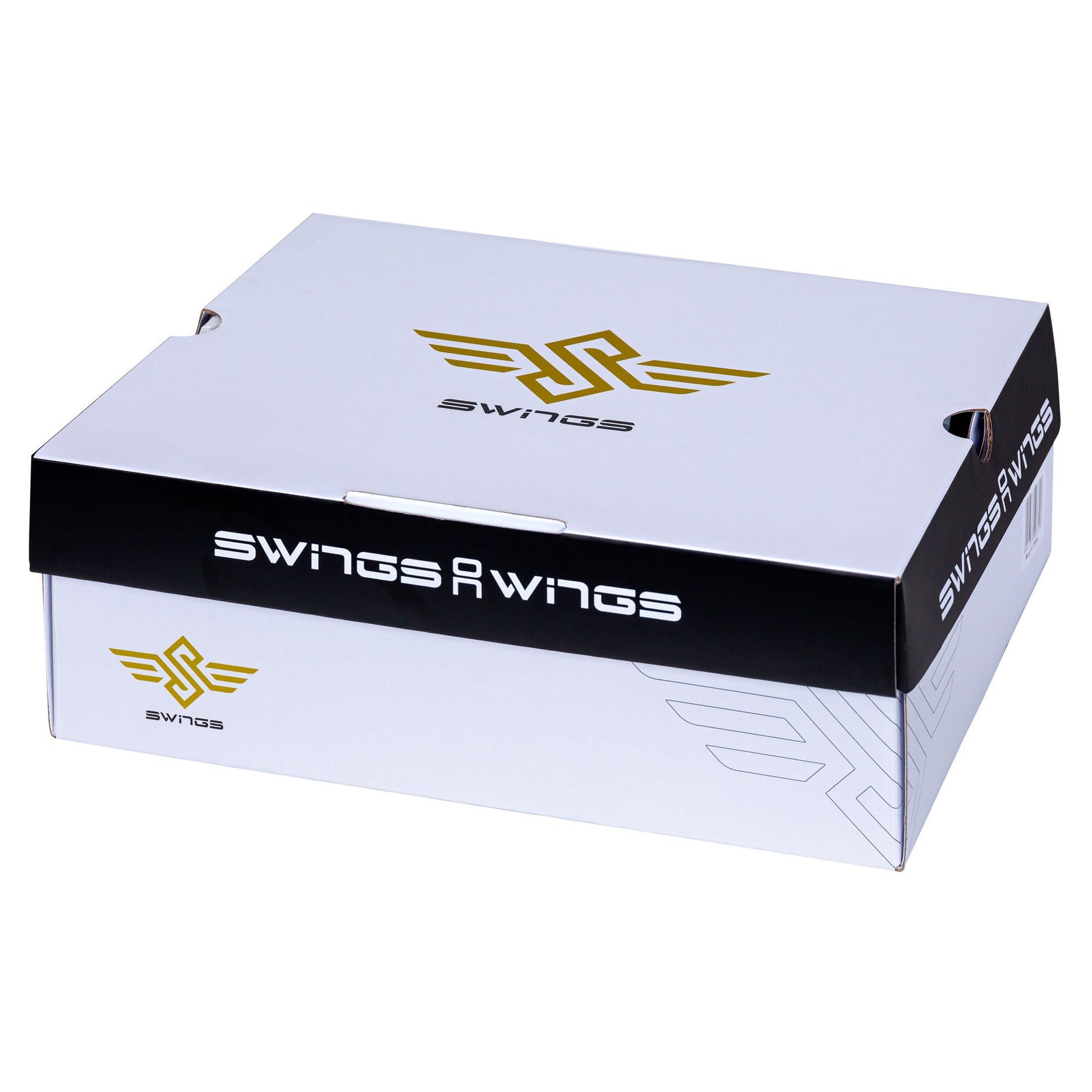 Swings Mk I (5)