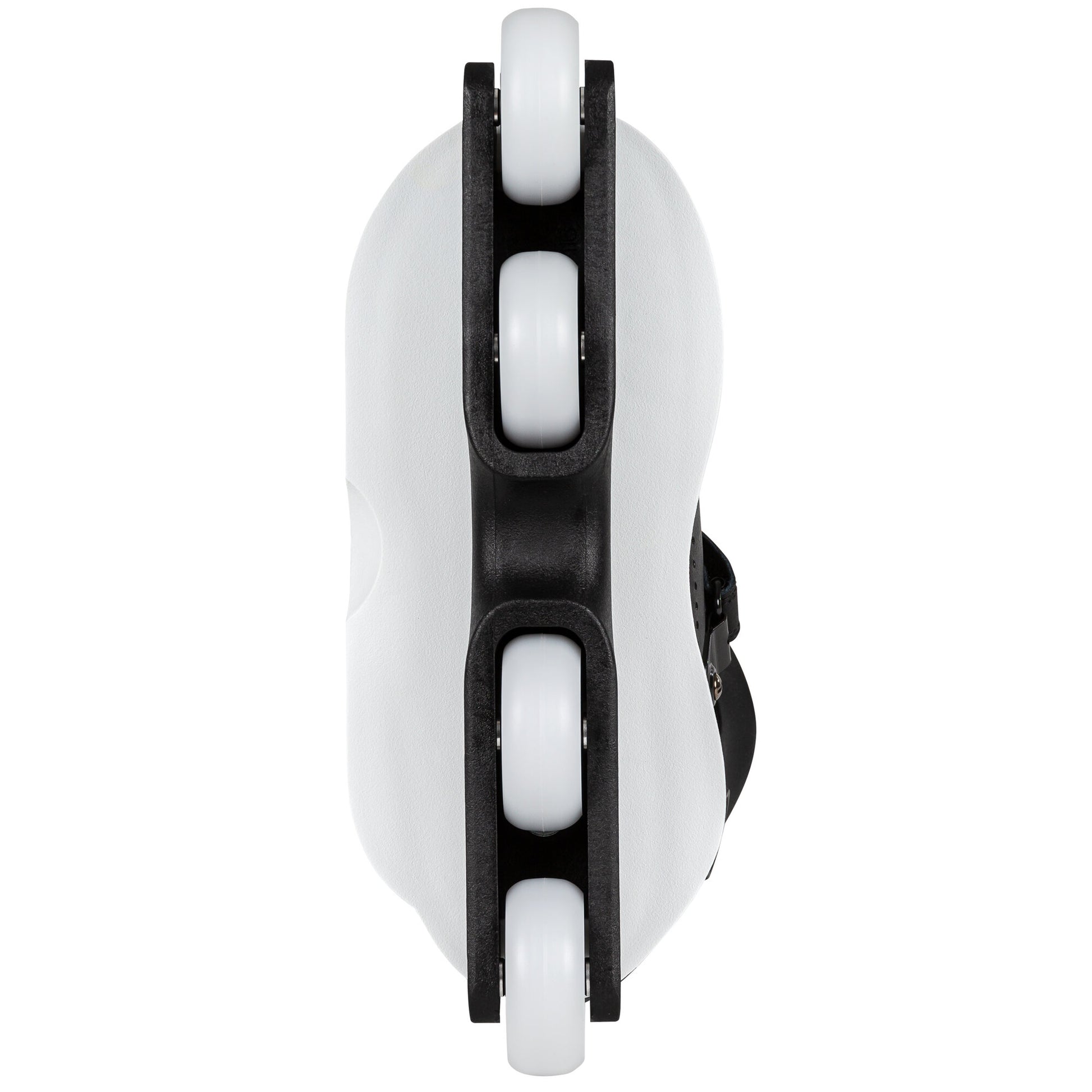 Carbon Free Carlos Bernal (4)